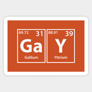 Gay (Ga-Y) Periodic Elements Spelling Magnet